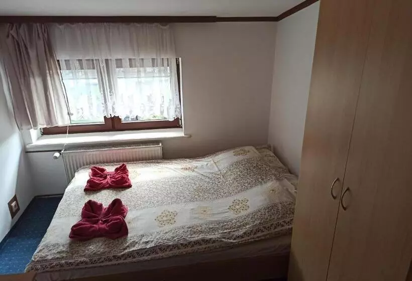 Hotelli Gościniec Silver