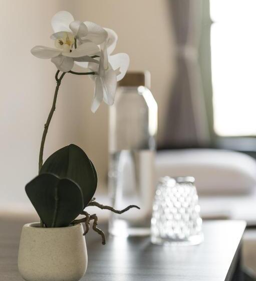 فندق صغير Sydney Central Inn