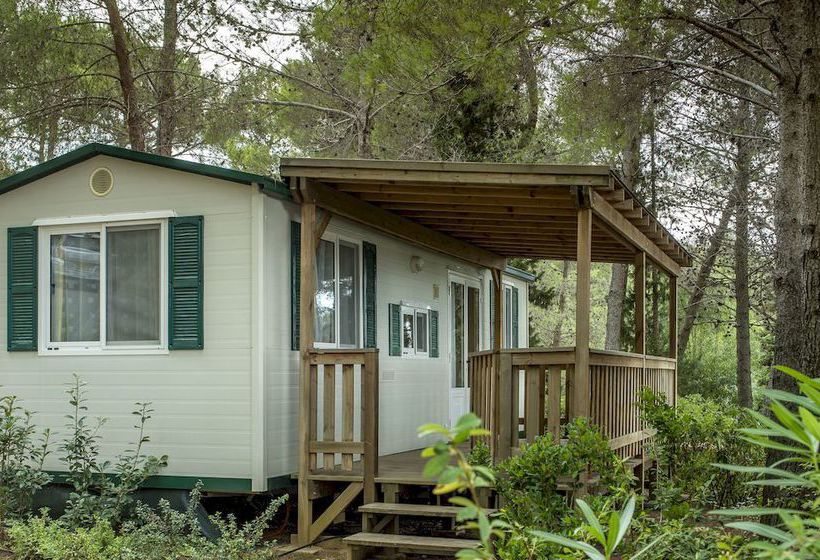 فندق Camping Le Pianacce