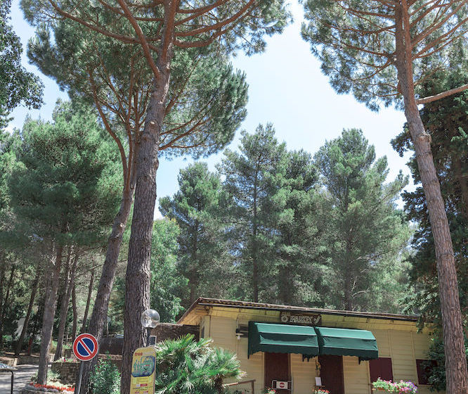 فندق Camping Le Pianacce