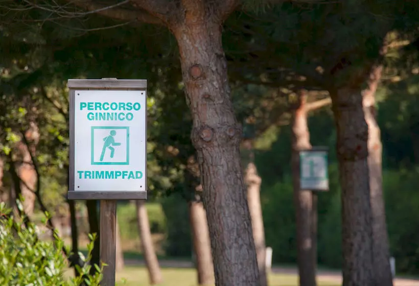 فندق Camping Le Pianacce