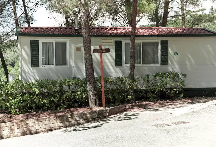 فندق Camping Le Pianacce