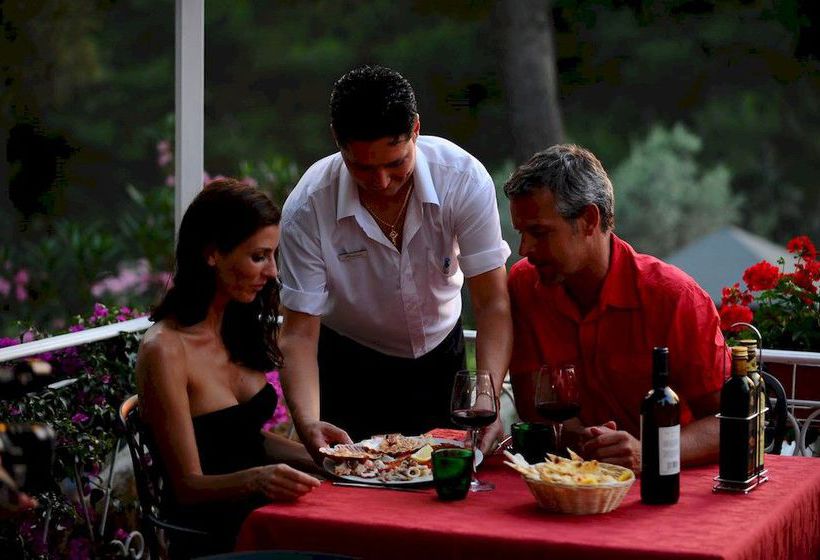 فندق Camping Le Pianacce