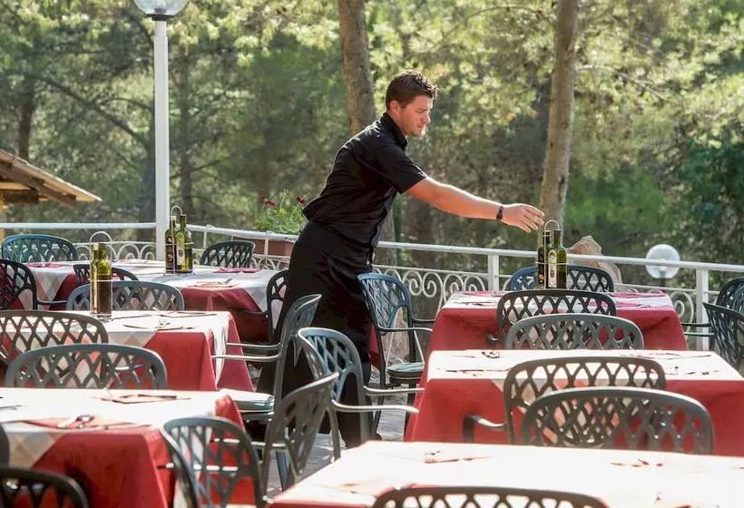 فندق Camping Le Pianacce