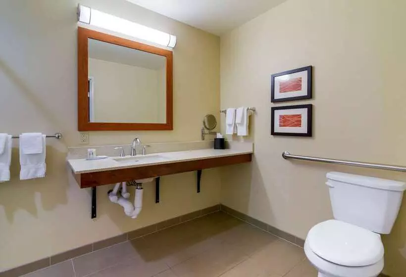 בית מלון כפרי Comfort Inn & Suites Mandan Bismarck