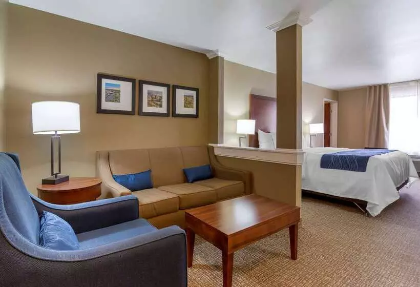 בית מלון כפרי Comfort Inn & Suites Mandan Bismarck