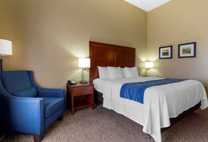 فندق Comfort Inn & Suites Mandan   Bismarck