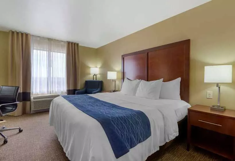 בית מלון כפרי Comfort Inn & Suites Mandan Bismarck