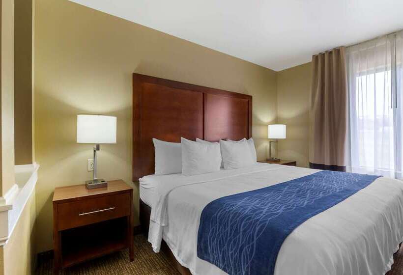 فندق Comfort Inn & Suites Mandan   Bismarck