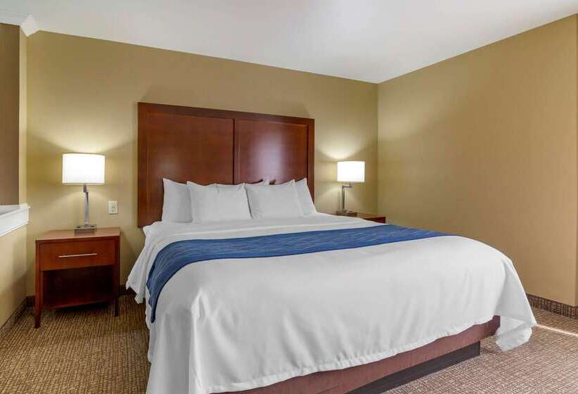 فندق Comfort Inn & Suites Mandan   Bismarck