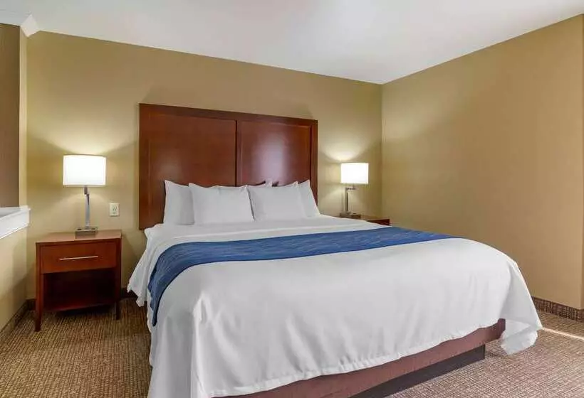 בית מלון כפרי Comfort Inn & Suites Mandan Bismarck
