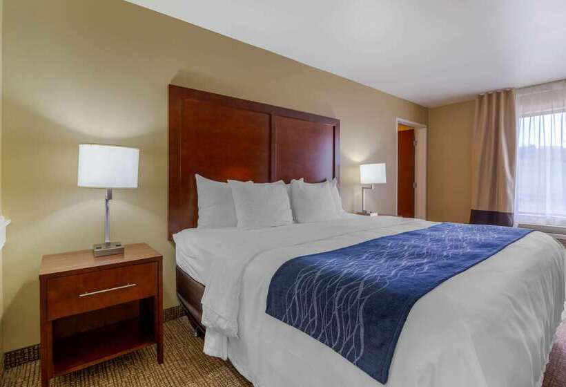 فندق Comfort Inn & Suites Mandan   Bismarck