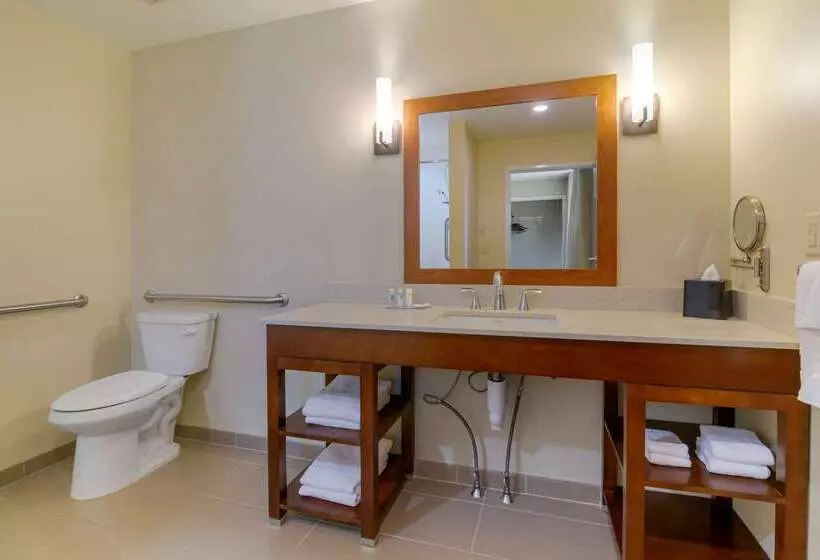 בית מלון כפרי Comfort Inn & Suites Mandan Bismarck