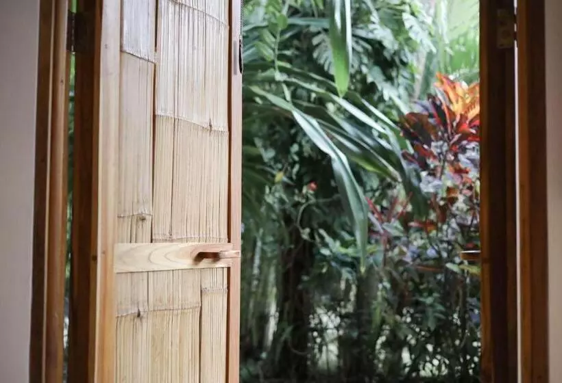 酒店 Outsite Santa Teresa Playa