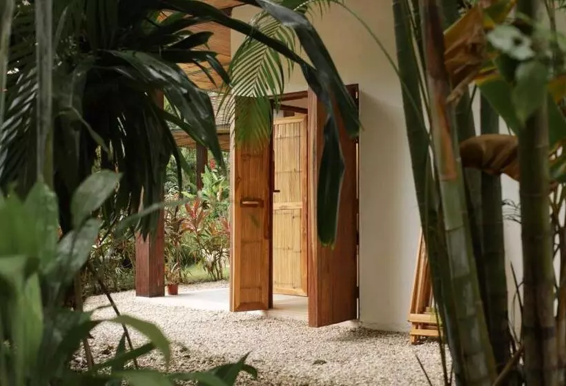 酒店 Outsite Santa Teresa Playa