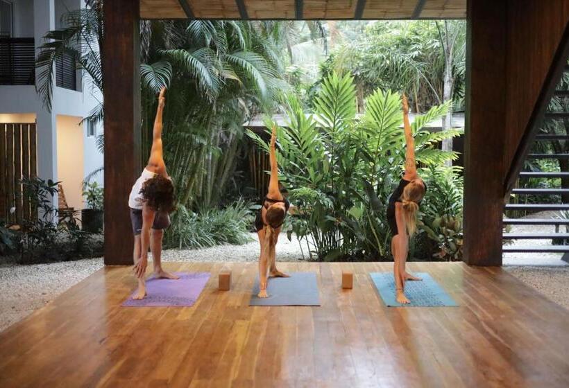 호텔 Outsite Santa Teresa Playa