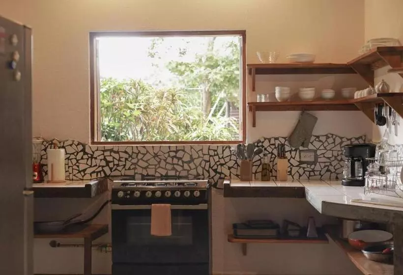 酒店 Outsite Santa Teresa Playa