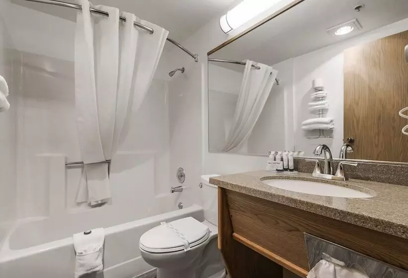 酒店 Sonora Aladdin Motor Inn