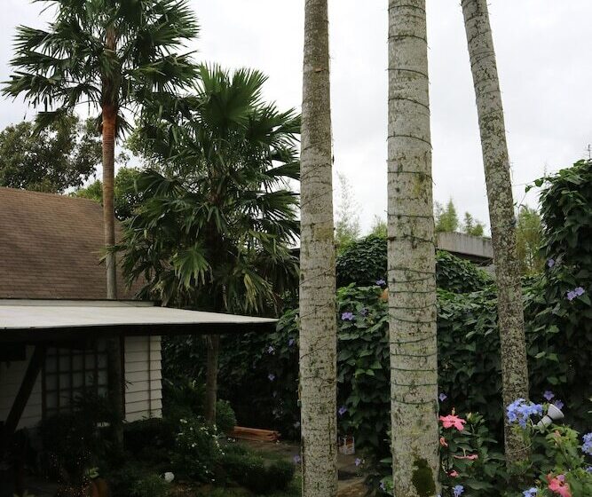 Joaquin's Bed And Breakfast