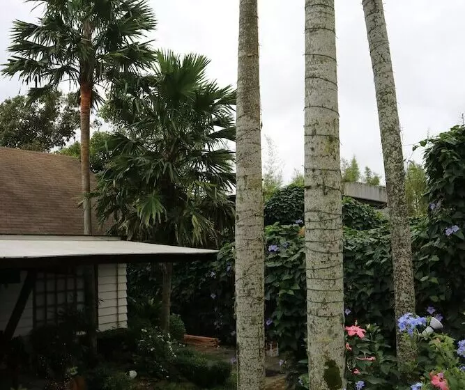 Joaquin's Bed And Breakfast