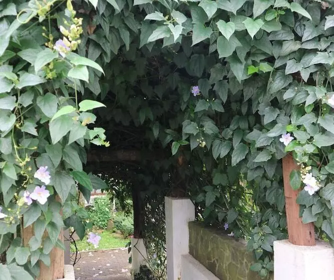 Joaquin's Bed And Breakfast