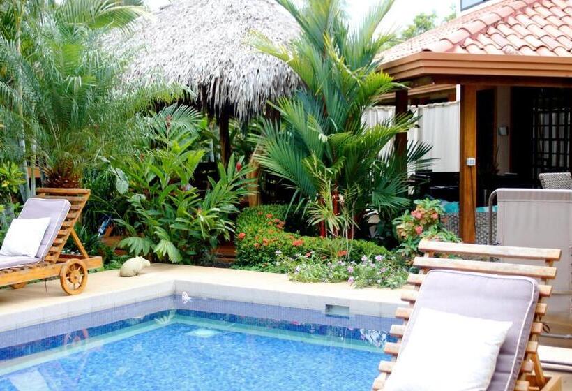 Vista Hermosa Bed And Breakfast