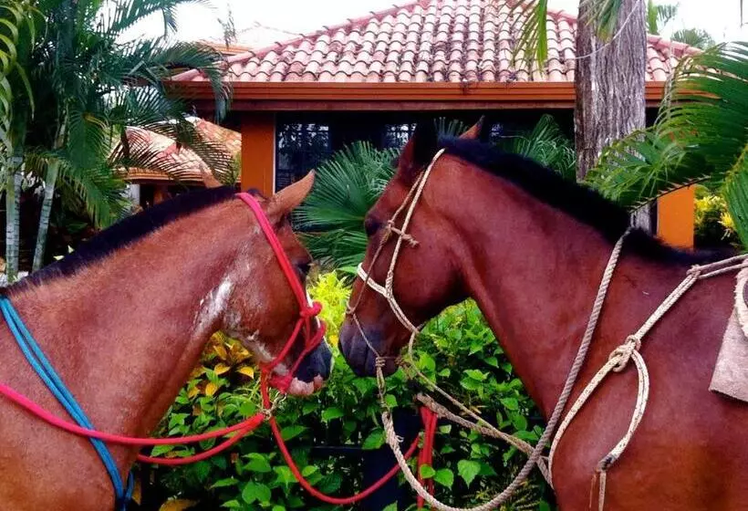 Vista Hermosa Bed And Breakfast