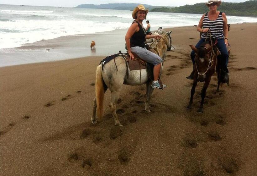 Vista Hermosa Bed And Breakfast