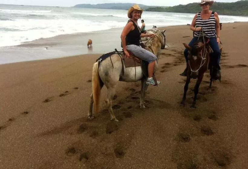 Vista Hermosa Bed And Breakfast