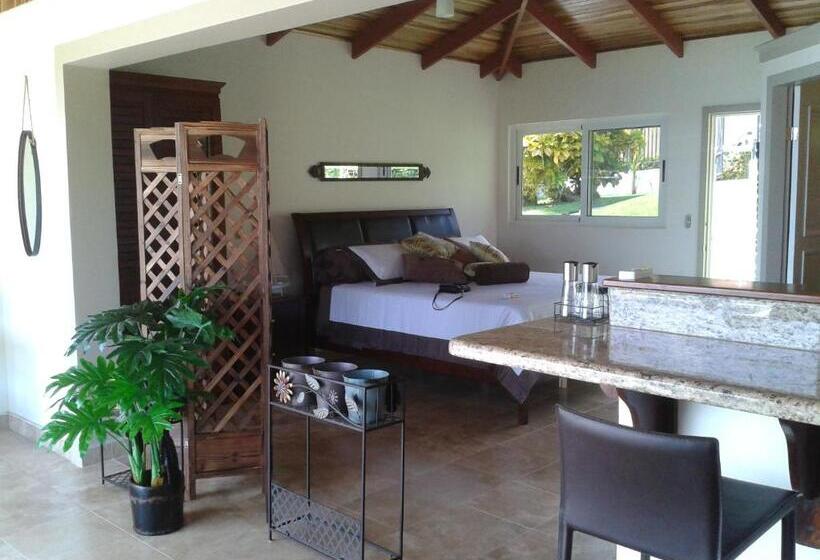 Vista Hermosa Bed And Breakfast