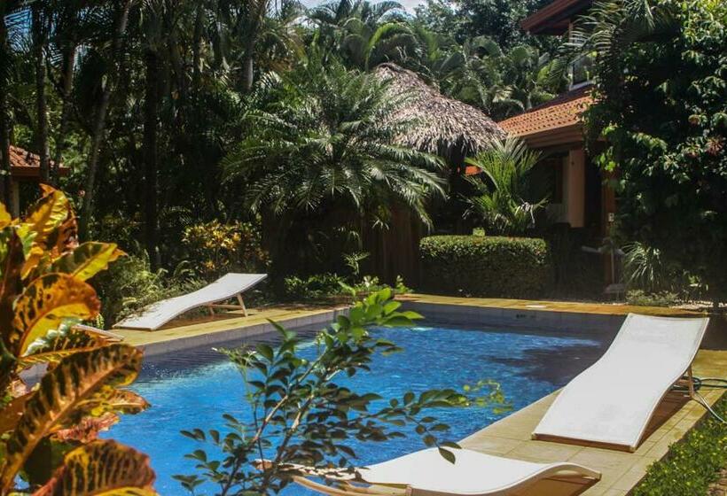 Vista Hermosa Bed And Breakfast