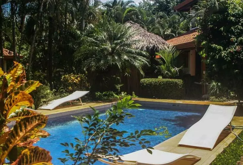 Vista Hermosa Bed And Breakfast