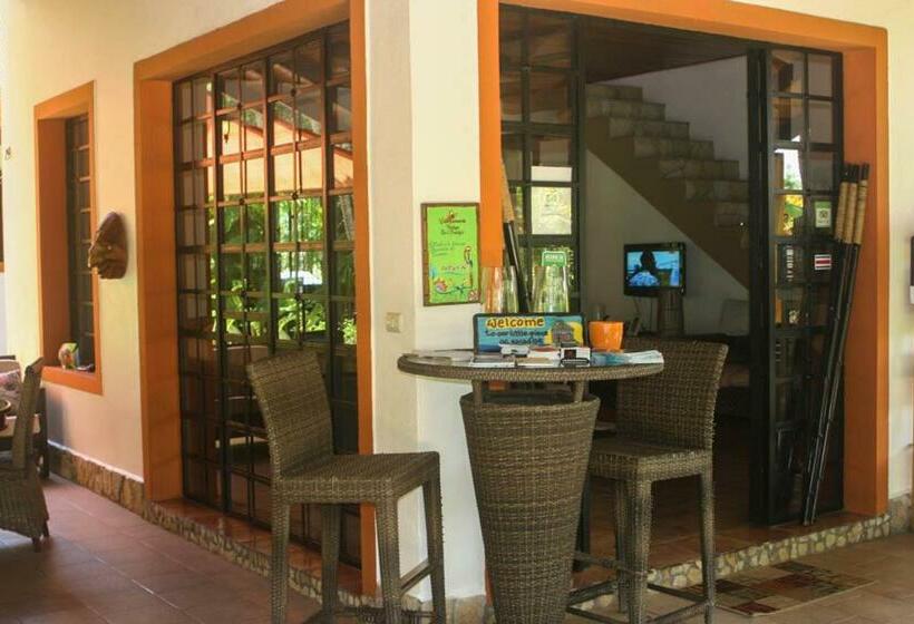 Vista Hermosa Bed And Breakfast