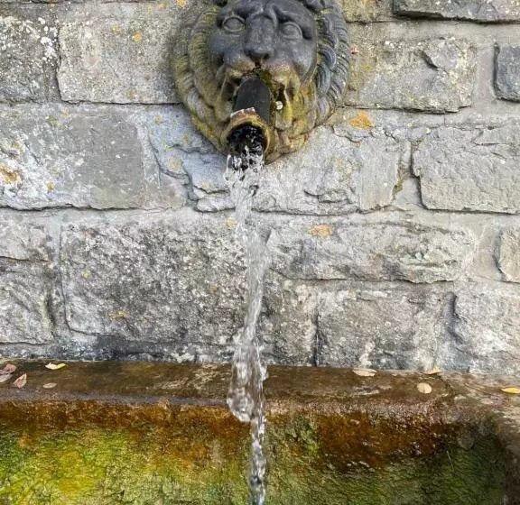 ベッドアンドブレックファースト Le Temps D Une Pause