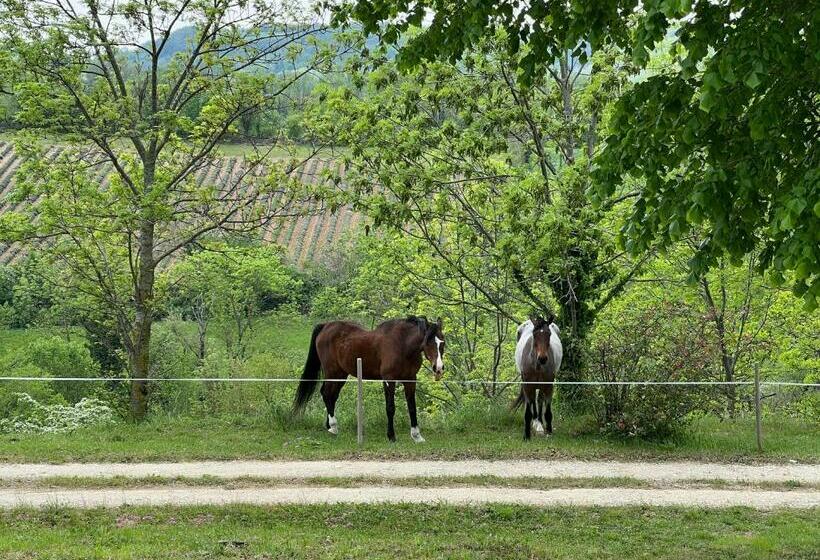 مبيت وإفطار Marquis De Carrou