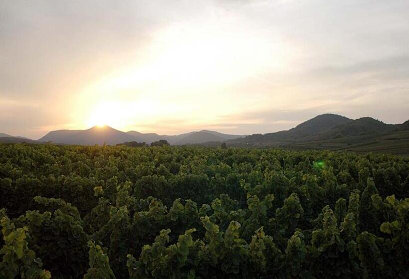 פנסיון Gästehaus Palatinas