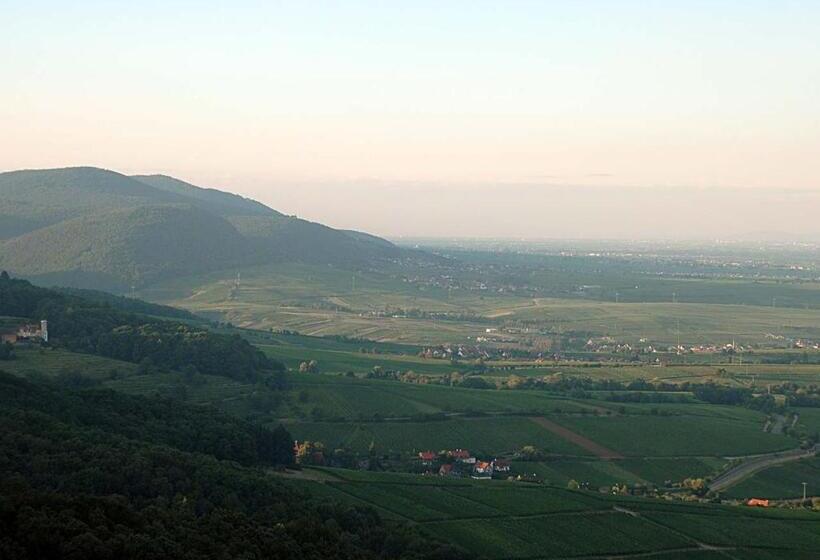 פנסיון Gästehaus Palatinas