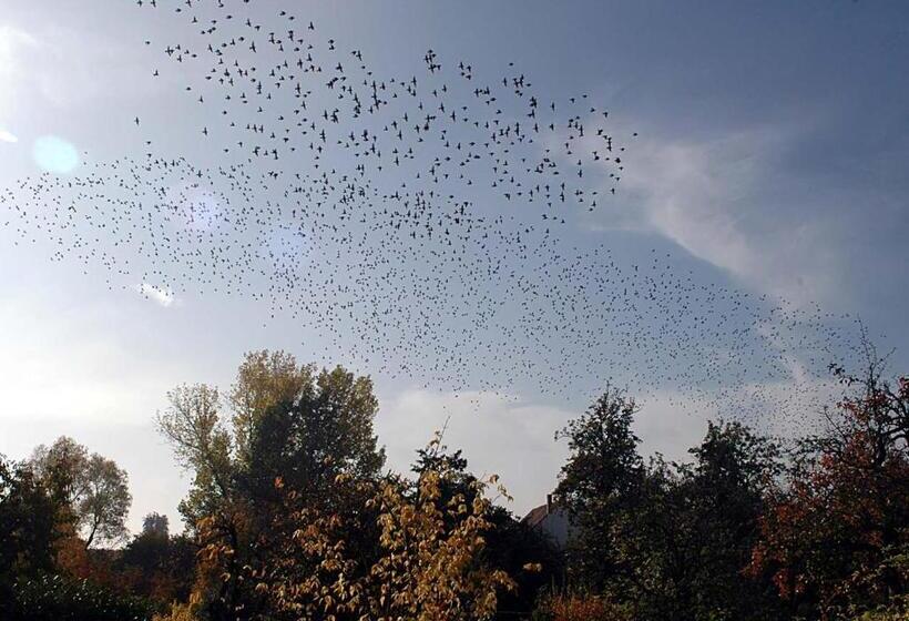 פנסיון Gästehaus Palatinas