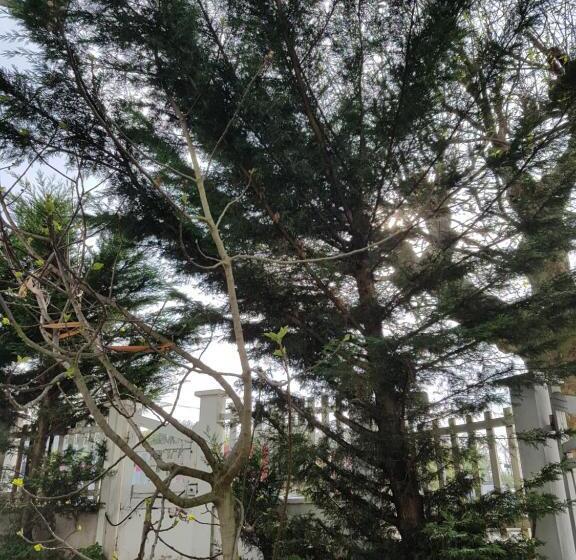 ペンション Ndp Family