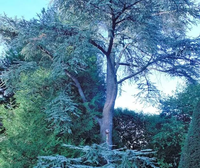 ベッドアンドブレックファースト Domaine Des Thomins