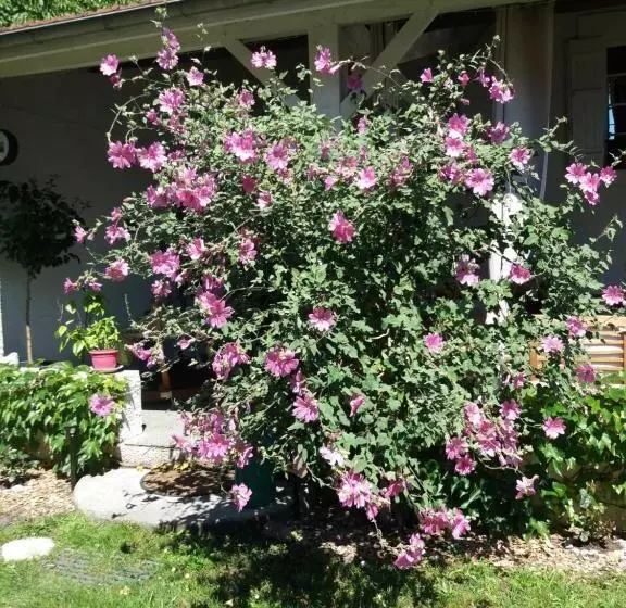 Aamiaismajoitus (B&B) Les Eygletières