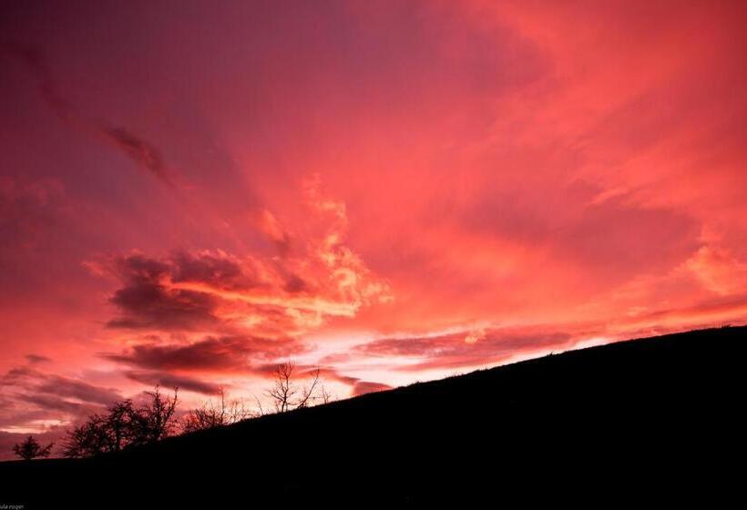 住宿加早餐 Ruhige Zimmer Im Grünen Und Studio Im Naherholungsgebiet