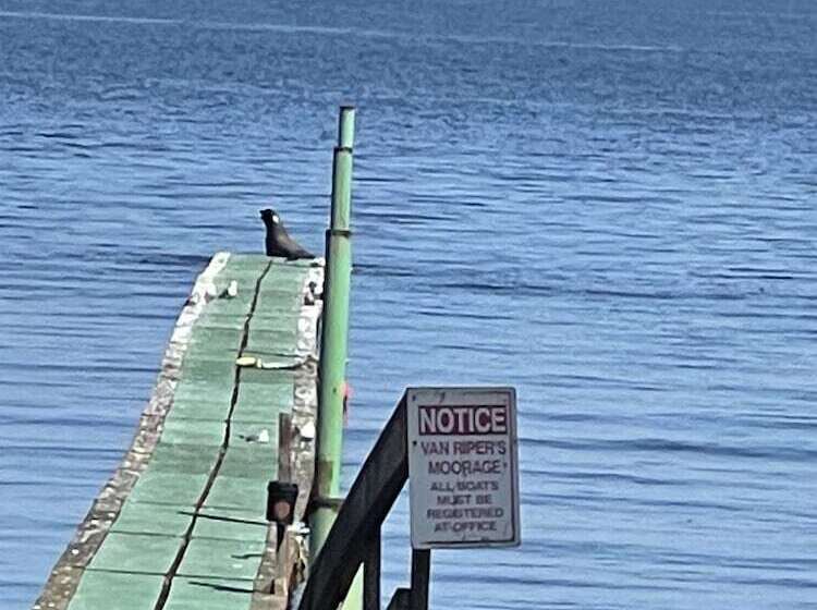 호텔 Curley S Resort & Dive Center