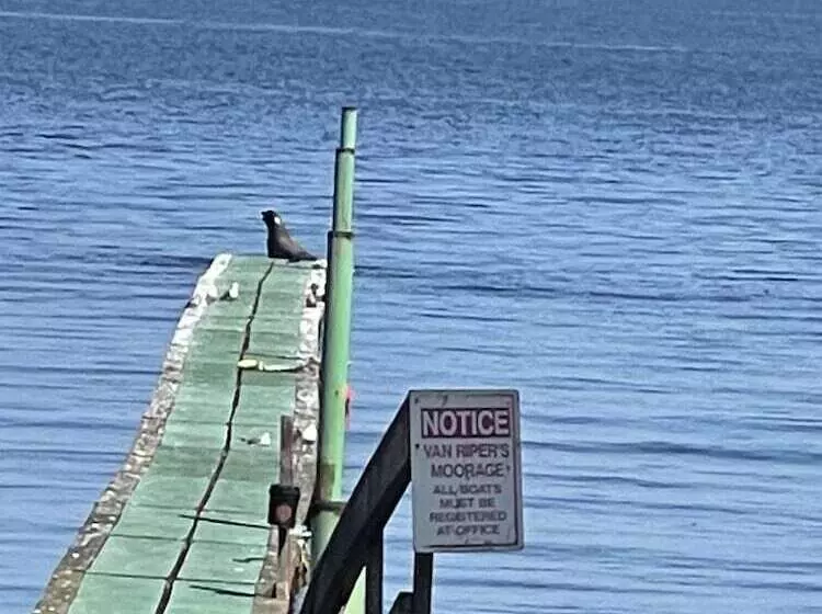 Hotelli Curley S Resort & Dive Center