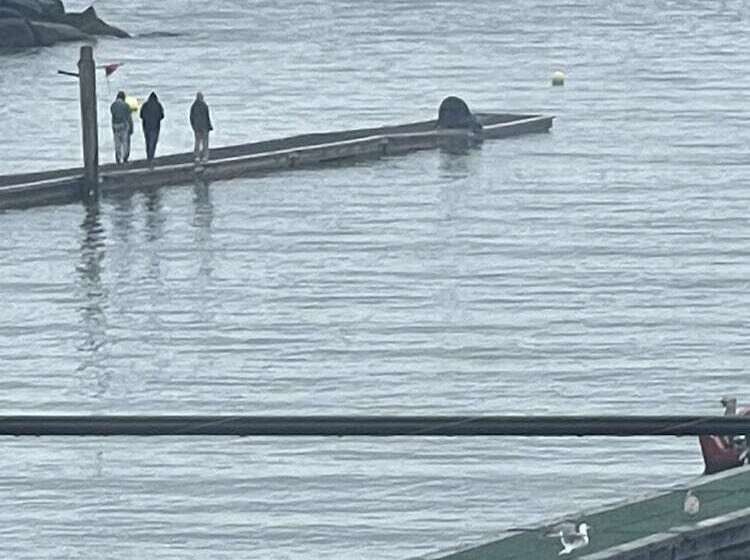 호텔 Curley S Resort & Dive Center