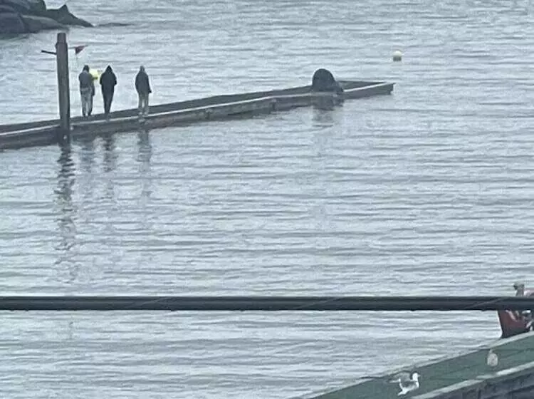 Hotelli Curley S Resort & Dive Center