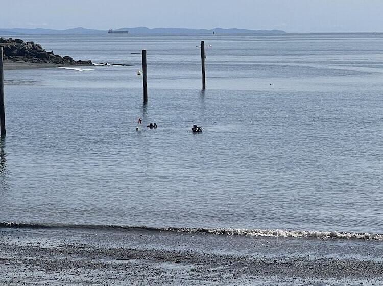 호텔 Curley S Resort & Dive Center