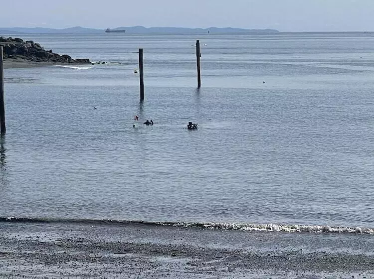 Hotelli Curley S Resort & Dive Center