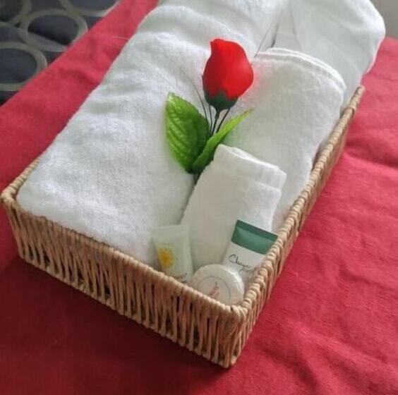 汽车旅馆 Merriwa Motor Inn