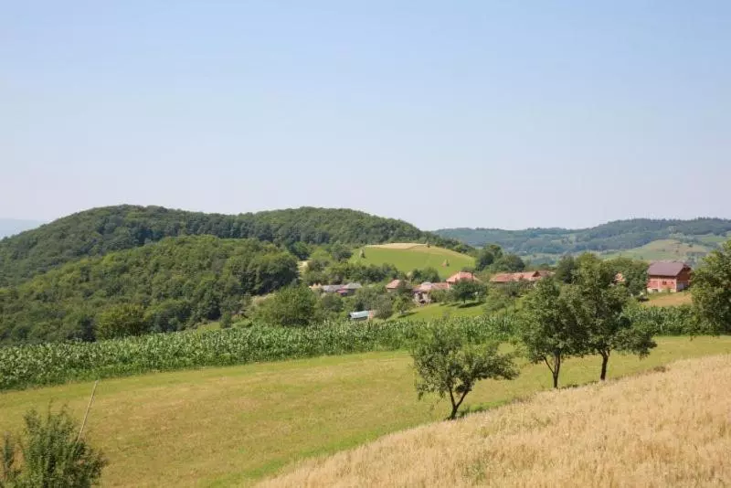 Pensiunea Rosia